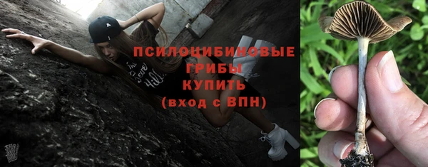 гидра Вяземский